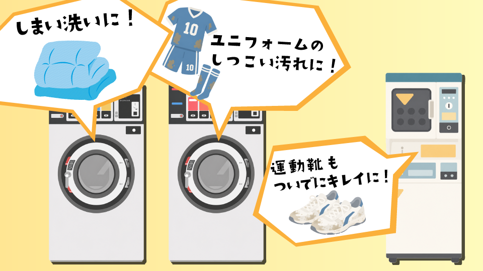 初夏のWash innのイメージ画像